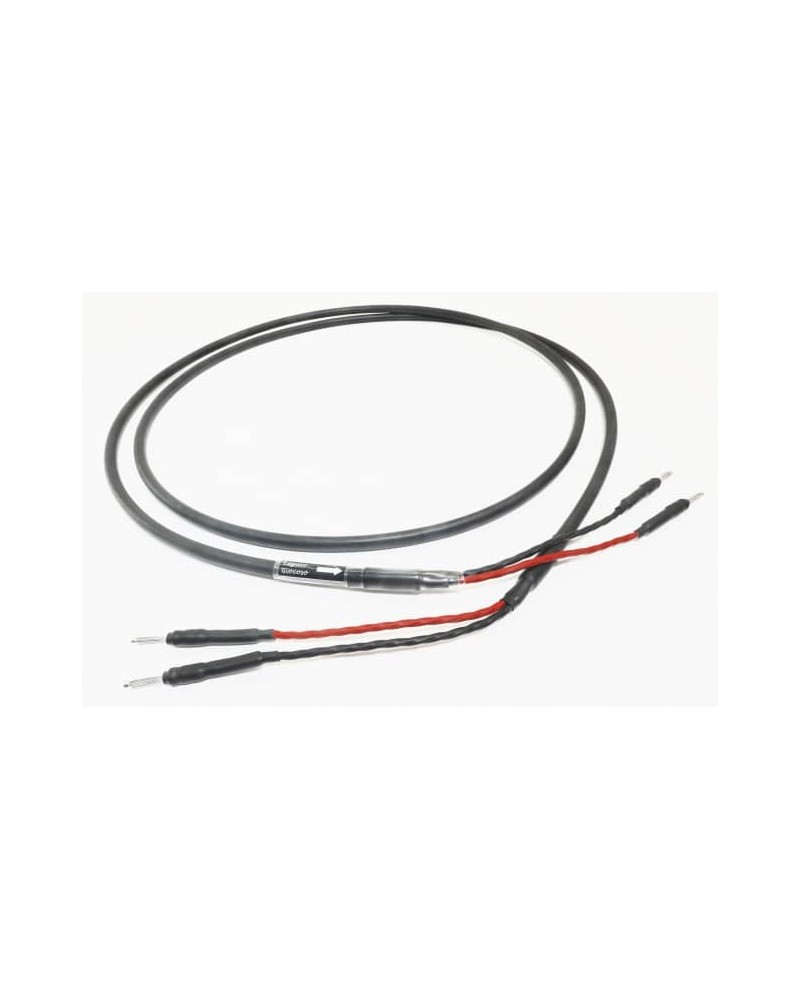 Câble haut parleur - Legato Audio HP Giocoso - Livraison gratuite