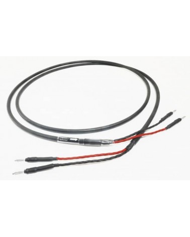 Câble haut parleur - Legato Audio HP Giocoso - Livraison gratuite