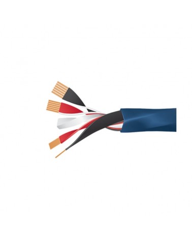 Câble haut parleur Wireworld Oasis 8 - Livraison gratuite