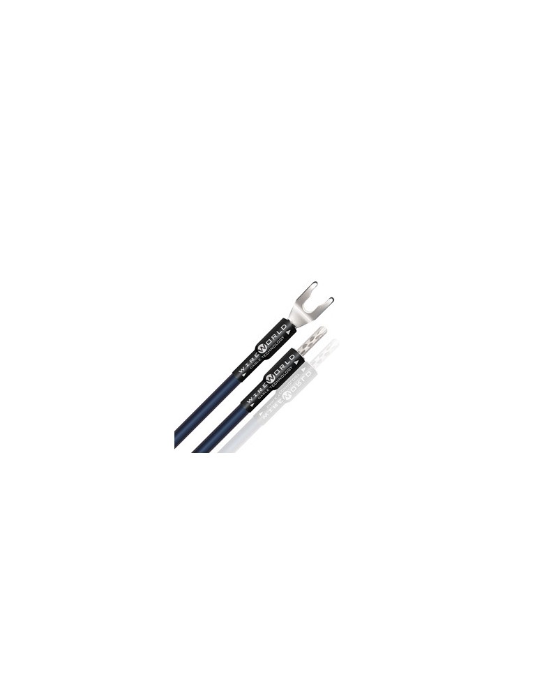 Câble haut parleur Wireworld Oasis 8 Straps - Livraison gratuite