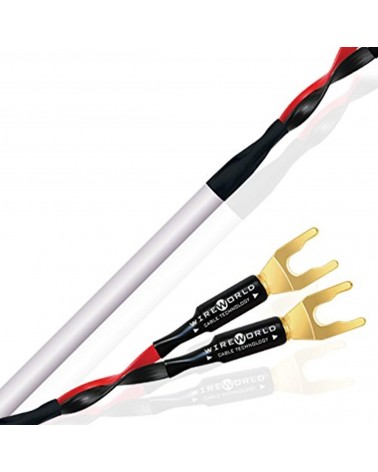 Câble haut parleur Wireworld Stream 8 - Livraison gratuite