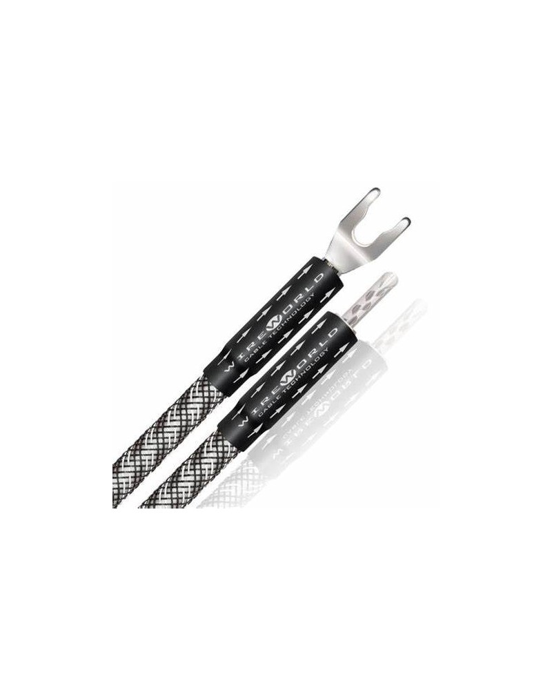 Câble haut parleur Wireworld Platinium Eclipse 8 Straps - Livraison gratuite