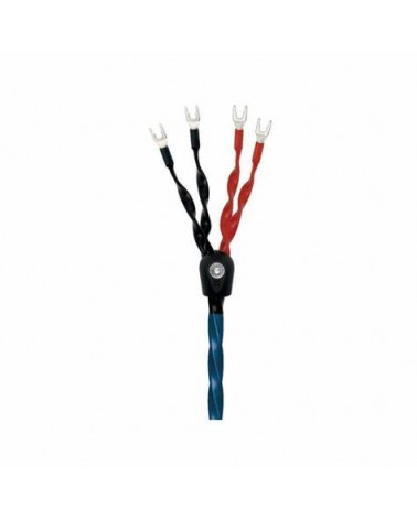 Câble haut parleur Wireworld Oasis 8 - Livraison gratuite