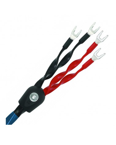 Câble haut parleur Wireworld Oasis 8 - Livraison gratuite