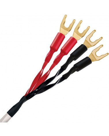 Câble haut parleur Wireworld Stream 8 - Livraison gratuite