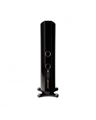 Enceinte colonnes Gato Audio FM-30 - Livraison gratuite