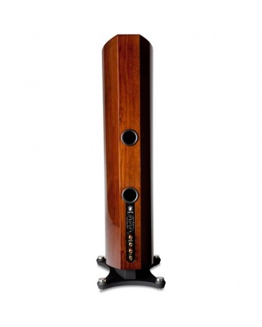 Enceinte colonne Gato Audio FM-50 - Livraison gratuite