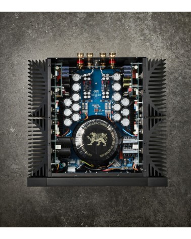 Gryphon Audio Essence Mono - Amplificateurs de puissance - Livraison gratuite