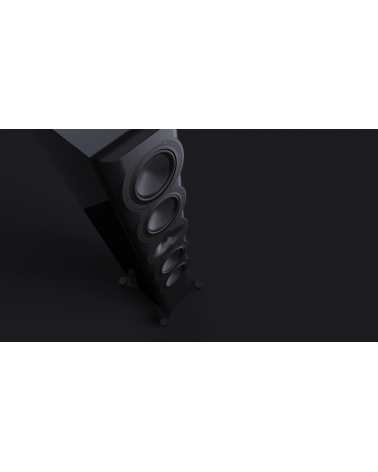 Perlisten R7t - Colonne - Livraison gratuite