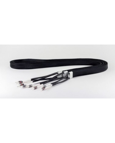 Tellurium Q Silver Diamond câble haut-parleur - Câble haut parleur - Livraison gratuite