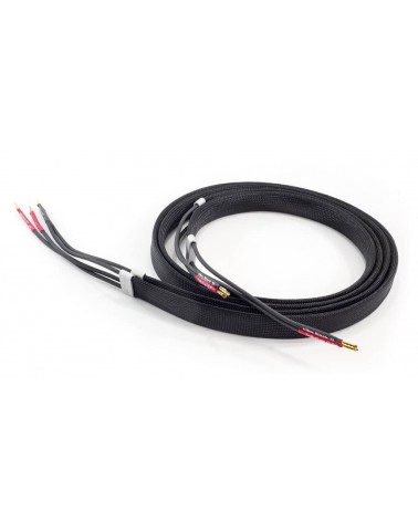 Tellurium Q Ultra Black II câble haut-parleur - Câble haut parleur - Livraison gratuite