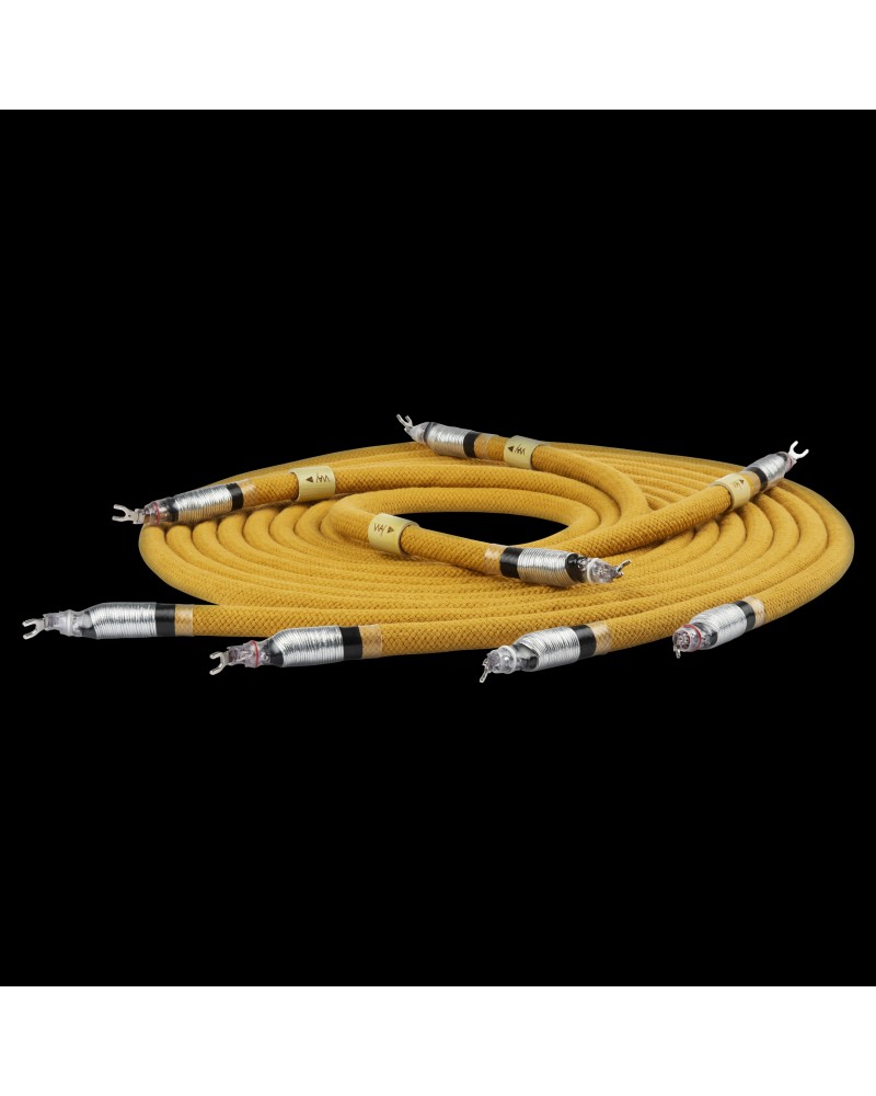 WAY Cable ENDLESS - Câble haut parleur - Livraison gratuite