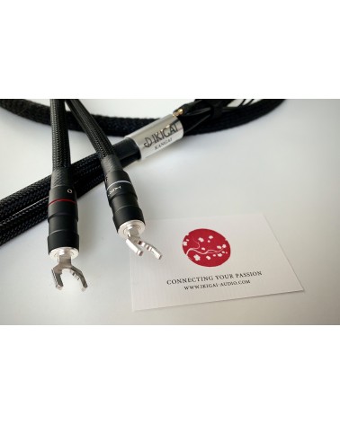 Vue détaillée du câble Kangai avec connecteurs haut de gamme Vue détaillée du câble Kangai avec connecteurs haut de gamme