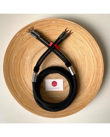 Le Kinzan d’Ikigai : un câble audiophile pour révéler toute la richesse de vos enceintes.