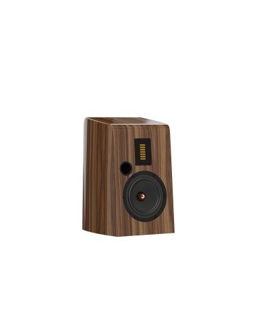 Esprit Stella - Enceinte bibliothèque AMT | HifiGroov