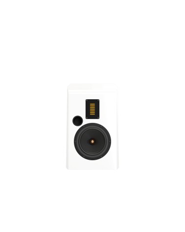 Esprit Stella - Enceinte bibliothèque AMT | HifiGroov