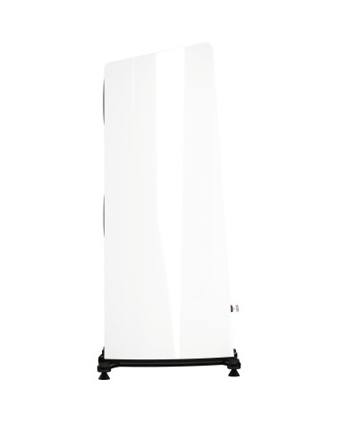 Esprit Lisa - Enceinte colonne AMT ALNICO | HifiGroov