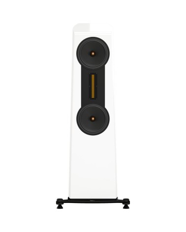 Esprit Lisa - Enceinte colonne AMT ALNICO | HifiGroov