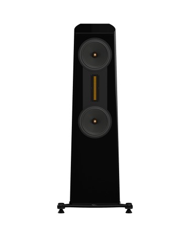 Esprit Lisa - Enceinte colonne AMT ALNICO | HifiGroov