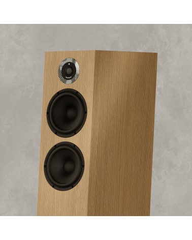 Marten Dexter Trio - Enceinte colonne diamant | HifiGroov