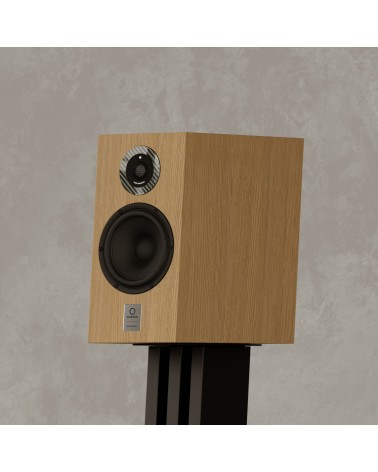 Marten Dexter Duo - Enceinte bibliothèque diamant | HifiGroov