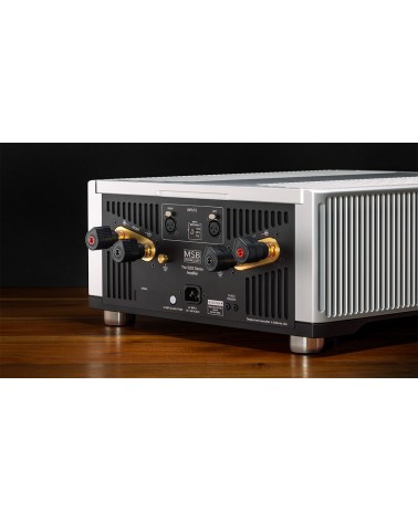 MSB S202 — connectique XLR et bornes de sortie