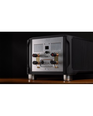 MSB S500 — connectique XLR et bornes de sortie