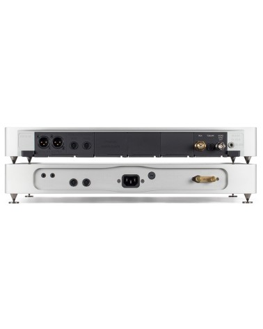 MSB The Premier DAC — panneau arrière : sorties XLR et entrées numériques (RCA, optique)