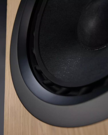 Ø Audio Ymir — woofer 12″ carbone
