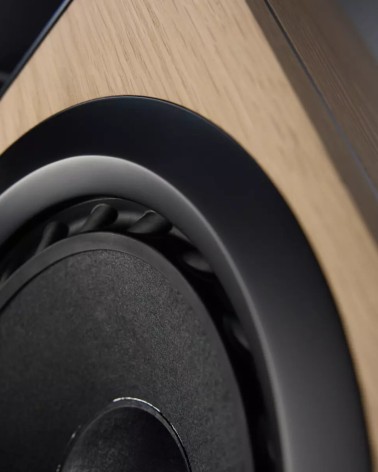 Ø Audio Ymir — woofer — détail de membrane