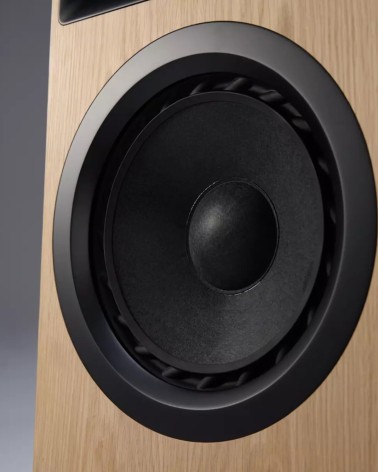 Ø Audio Ymir — woofer de face