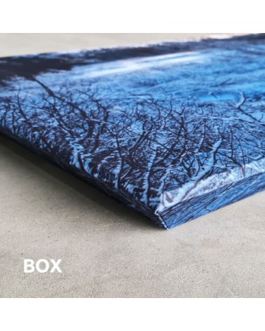 Artnovion Sparta Custom Print — Absorbeur acoustique