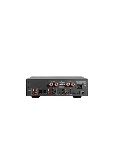 Lyngdorf TDAI-2210 — face arrière : entrées numériques, analogiques et emplacement de module