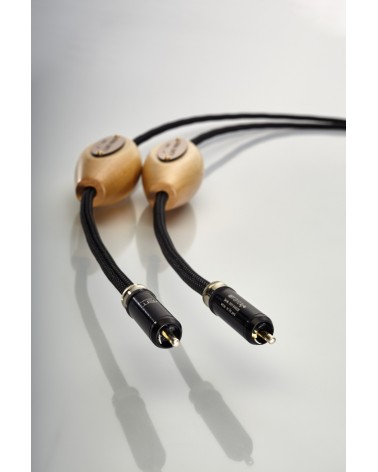 Jorma Unity — câble de modulation RCA, coques en érable