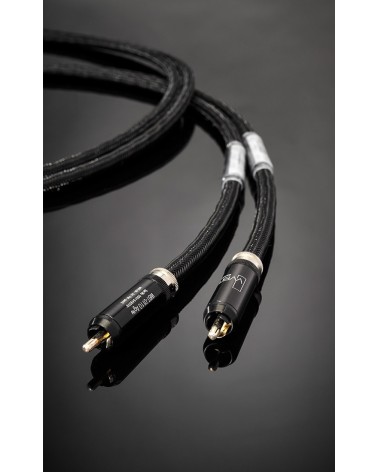 Jorma Duality — câble de modulation RCA, détail des connecteurs