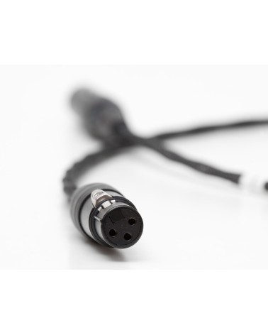 Jorma Digital — câble AES/EBU, détail du connecteur XLR femelle